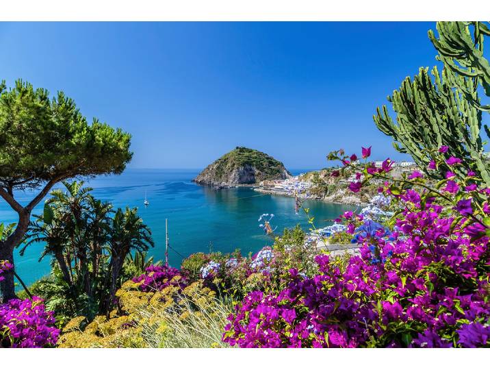 Fototapete PAPERMOON ISCHIA ITALIEN-BOUGANVILLA INSEL MEER BLUME FELSEN WALD , bunt, B:2,5m L:1,86m, Vlies, Tapeten, Fototapete