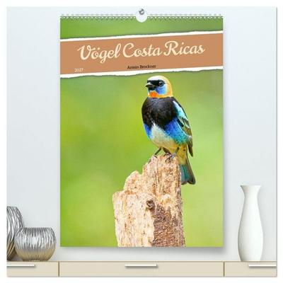 Vögel Costa Ricas (hochwertiger Premium Wandkalender 2027 DIN A2 hoch), Kunstdruck in Hochglanz