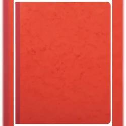 Exacompta 4060E Geschäftsbuch 6Sp 32x25 80Bl - Farben sortiert