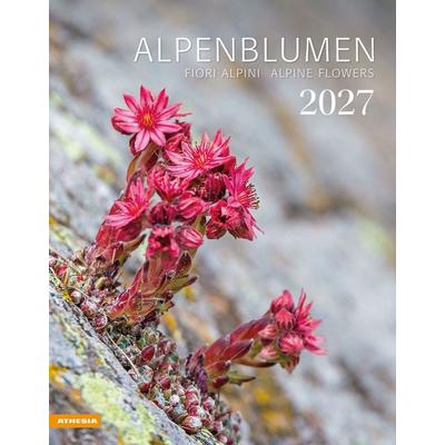Alpenblumen Kalender 2027