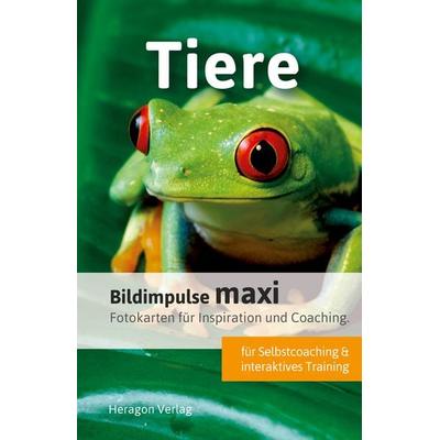 Bildimpulse maxi: Tiere, Sonstige von Bodo Pack, Heragon Verlag GmbH, 978-3-942805-82-7