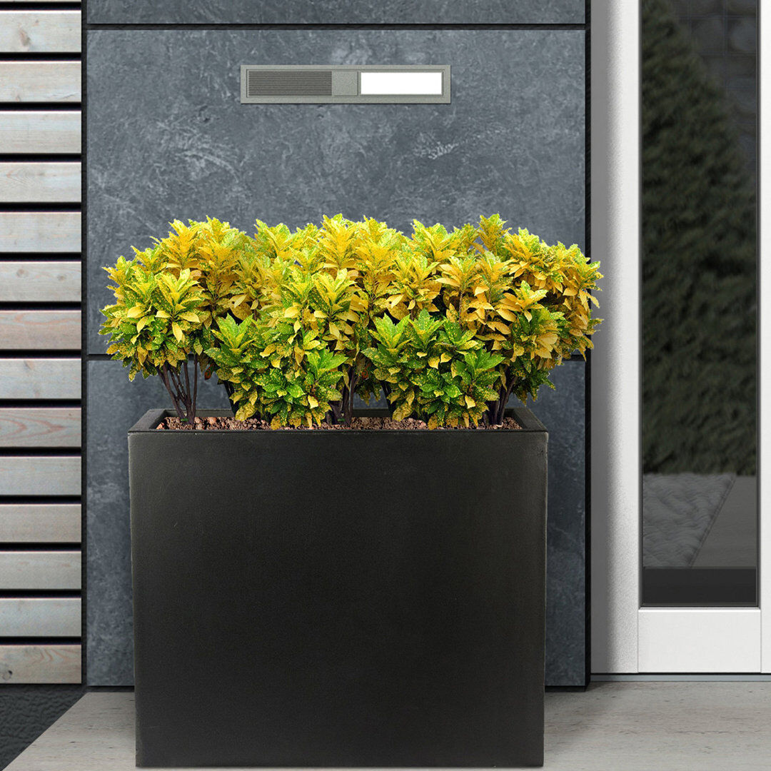 HORTICO Frostproof, Concrete Effect Garden Planter Pot with Drainage Holes Black 40cm H x 50cm W x 20cm D