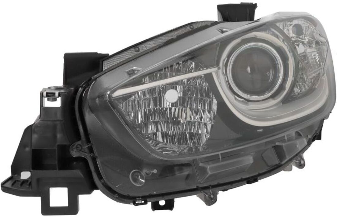 Depo Fanali 216-1166L-LEAN2