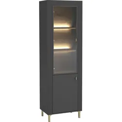 VITRINE Mossa MO03 mit LED Beleuchtung