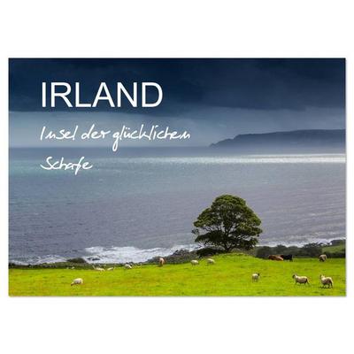 IRLAND - Insel der glücklichen Schafe (Wandkalender 2026 DIN A4 quer), CALVENDO Monatskalender