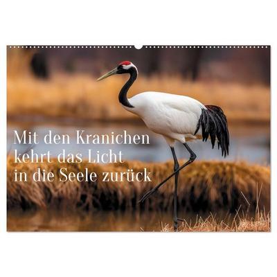 Mit den Kranichen kehrt das Licht in die Seele zurück (Wandkalender 2027 DIN A2 quer), CALVENDO Monatskalender
