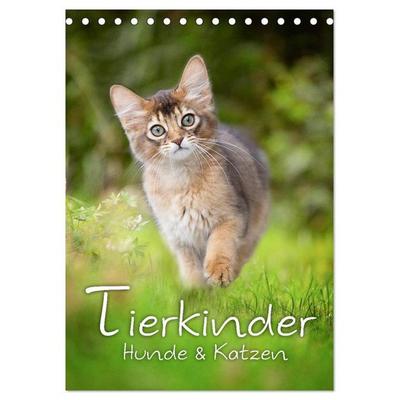 Tierkinder Hunde und Katzen (Tischkalender 2026 DIN A5 hoch), CALVENDO Monatskalender