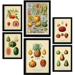 POSTER Set Mit 6 Gesund In Vintage A3 & A4 Schwarzer Rahmen