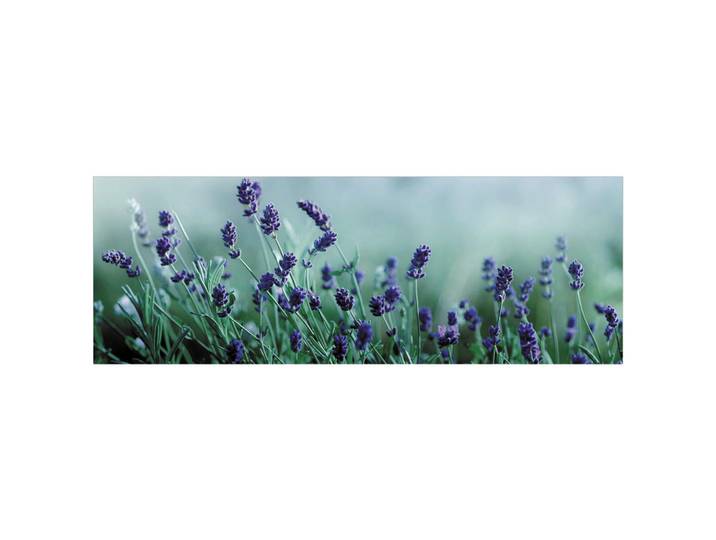 Fani Küchenrückwand Smart - Glas, Türkis, Flieder, Metall, Kunststoff, Lavendel, 180x63.7x0.6 cm, mit Dekor, Spritzschutz, individuell zuschneidbar, Echtglas-Optik, eventuelle Anpassungen vor Ort nötig, Küchen, Küchenausstattung, Küchenrückwände