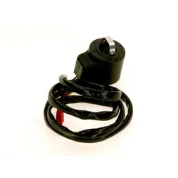 BOSCH Ersatzteil TTNR: 87183123860 Spule