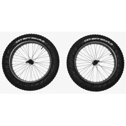 Thule Reacha 20 Zoll Fat Tire Radset