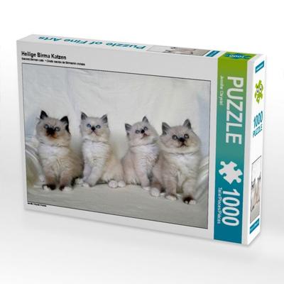 CALVENDO Puzzle Heilige Birma Katzen | 1000 Teile Lege-Größe 64x48cm Foto-Puzzle für glückliche Stunden