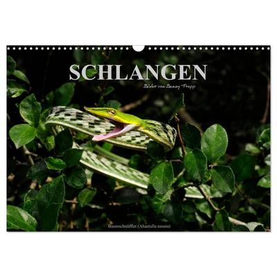 Schlangen (Wandkalender 2026 DIN A3 quer), CALVENDO Monatskalender