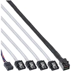 InLine Mini SAS HD Kabel (100 cm, Mini-SAS), Interne Kabel (PC)