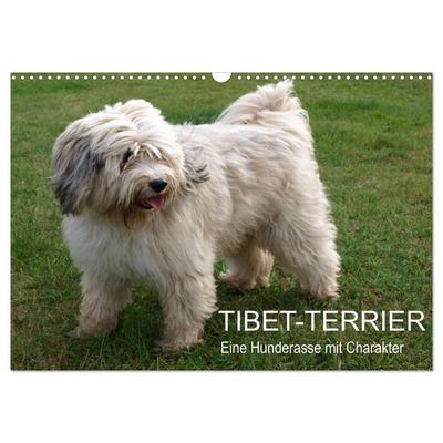 Tibet-Terrier - Eine Hunderasse mit Charakter (Wandkalender 2027 DIN A3 quer), CALVENDO Monatskalender
