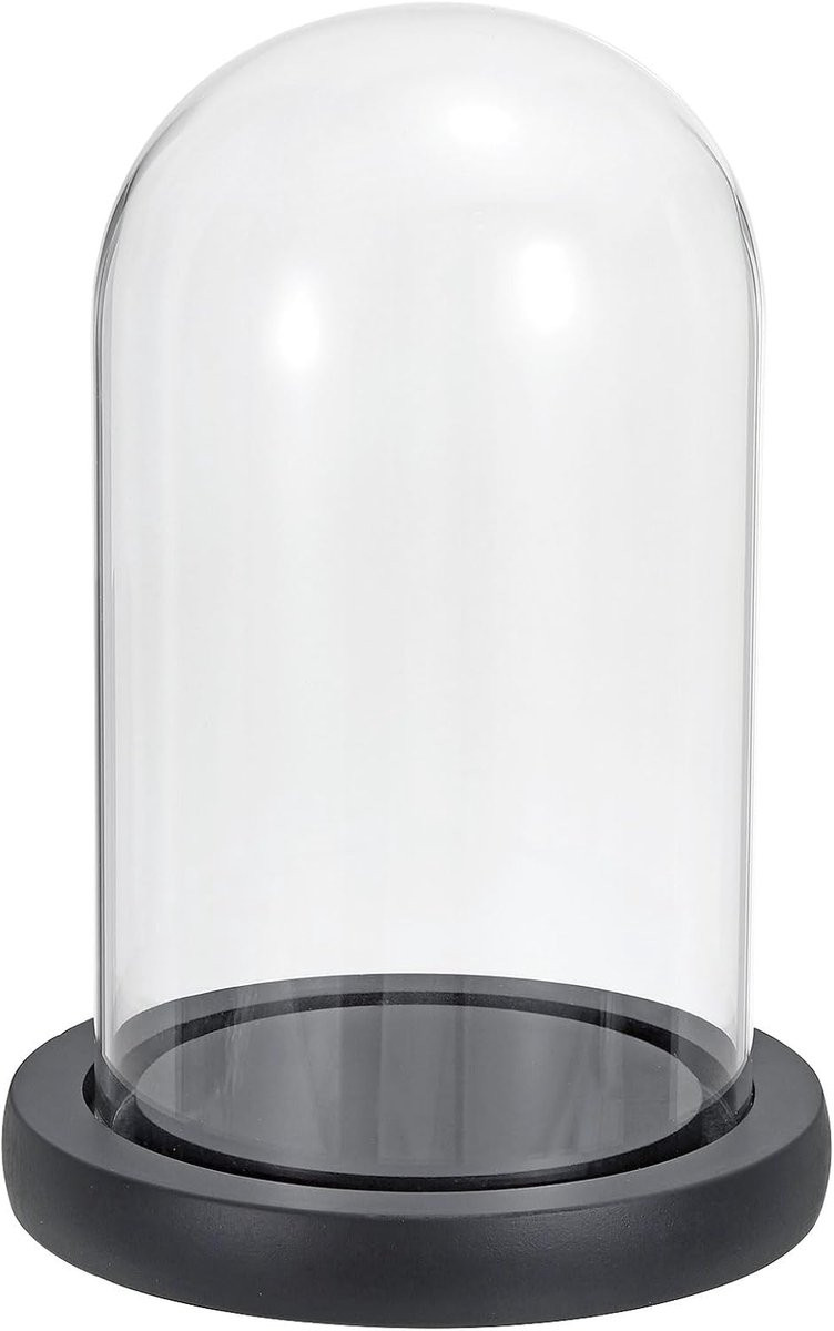 Glazen Cloche Display Koepel met Houten Basis voor Home Decor