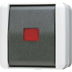 Jung Taster 10AX 250V 834 W