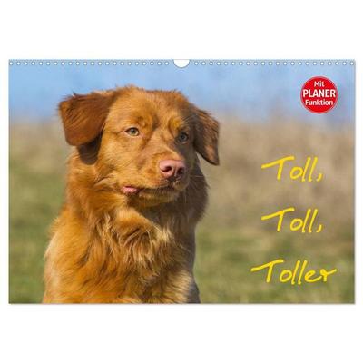 Toll, toll, Toller (Wandkalender 2027 DIN A3 quer), CALVENDO Monatskalender