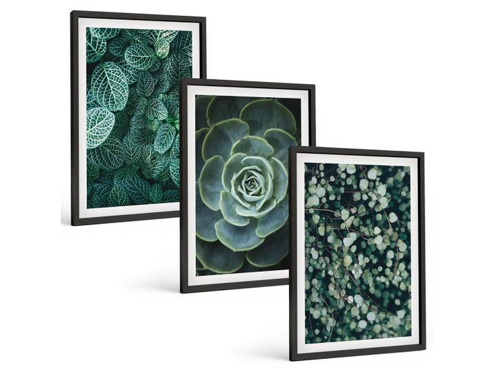 Tulup Bilder SET 3er Set - 40x60 cm Schwarzer Rahmen - Sukkulenten, Kunststoff, Rechteckig, 40x60 cm, gerahmt, Bilder & Rahmen, Bilder