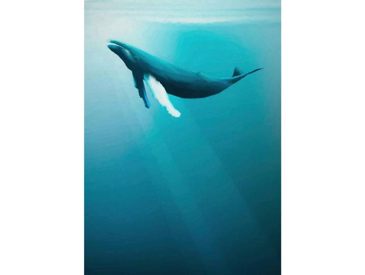 Fototapete, Mehrfarbig, Papier, Wal, 200x280 cm, Tapeten & Wandverkleidungen, Fototapeten