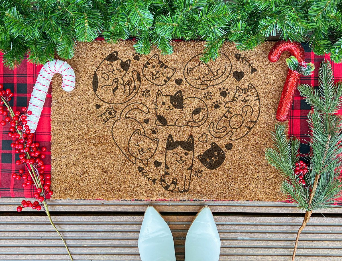 Laser Point Pawsitively Charming Meow Ingangsmat 60 x 40 cm