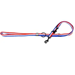 Martin Sellier Mehrzweck-Hundeleine (Hund, Allgemein, Hundesport, Spazieren), Halsband + Leine
