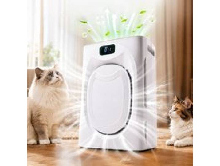 Purificateur dair HEPA H13 CADR 350 m³/h pour les personnes allergiques et les foyers avec animaux de compagnie