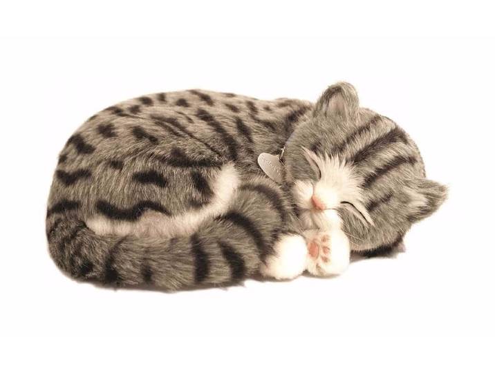 PerfectPezzz Gray Tabby Kitten Plüschkatze – Freizeit/Gadgets/Trends – grau