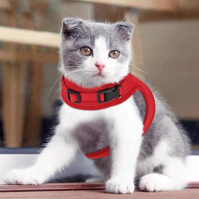 Drop Dash Deals Large Escape Proof Cat Harness Soft Mesh Adjustable Walking Chest For Kittens Large Escape Proof Cat Harness Soft Mesh Adjustable Walking Chest For Kittens