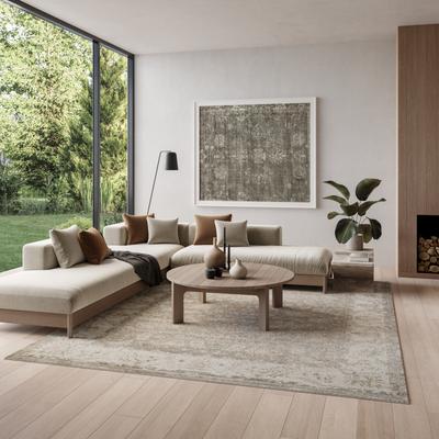 Nourison Dekor Indoor only Vintage Abstract Area Rug