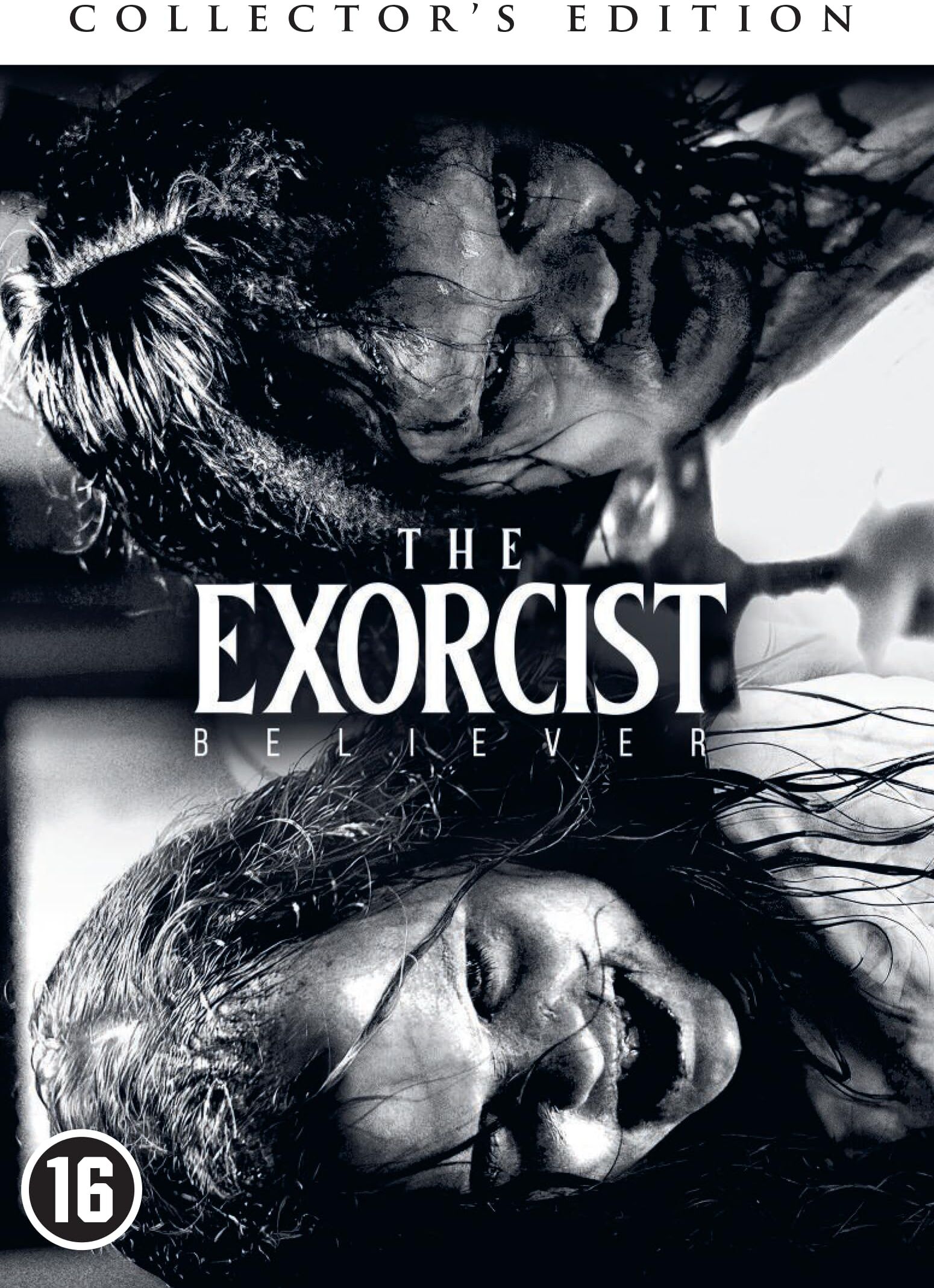 David Gordon Green - L'Exorciste-Dévotion (The Exorcist: Believer) [DVD] - Preis vom 11.10.2026 03:10:56 h