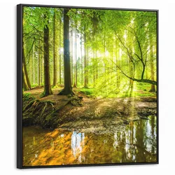 LEINWAND Bilder mit Rahmen - Wald - Landschaft - Wasser - Bäume - Sonne - Grün - Natur - 90x90
