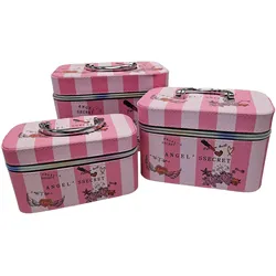 Extralink Lifestyle Damen-Kosmetiktasche Organizer Koffer Für Kosmetik 3in1 245, Necessaire, Mehrfarbig