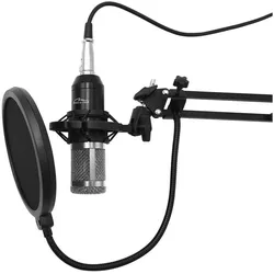 Media-Tech MT397S, Mikrofon