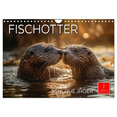 Fischotter - schlaue Jäger (Wandkalender 2027 DIN A4 quer), CALVENDO Monatskalender
