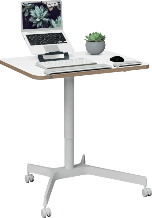 LEITZ Ergo Mobil 80 x 60 cm, weiß