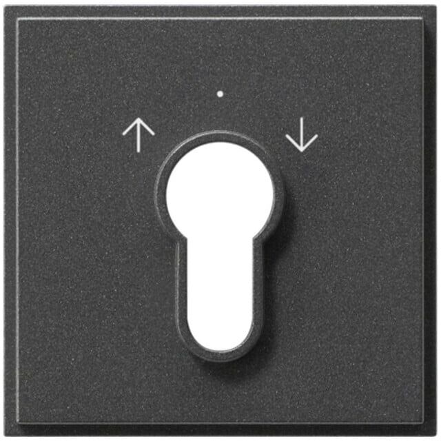 Gira Plaque centrale clé anthracite TX44 066467 (066467)