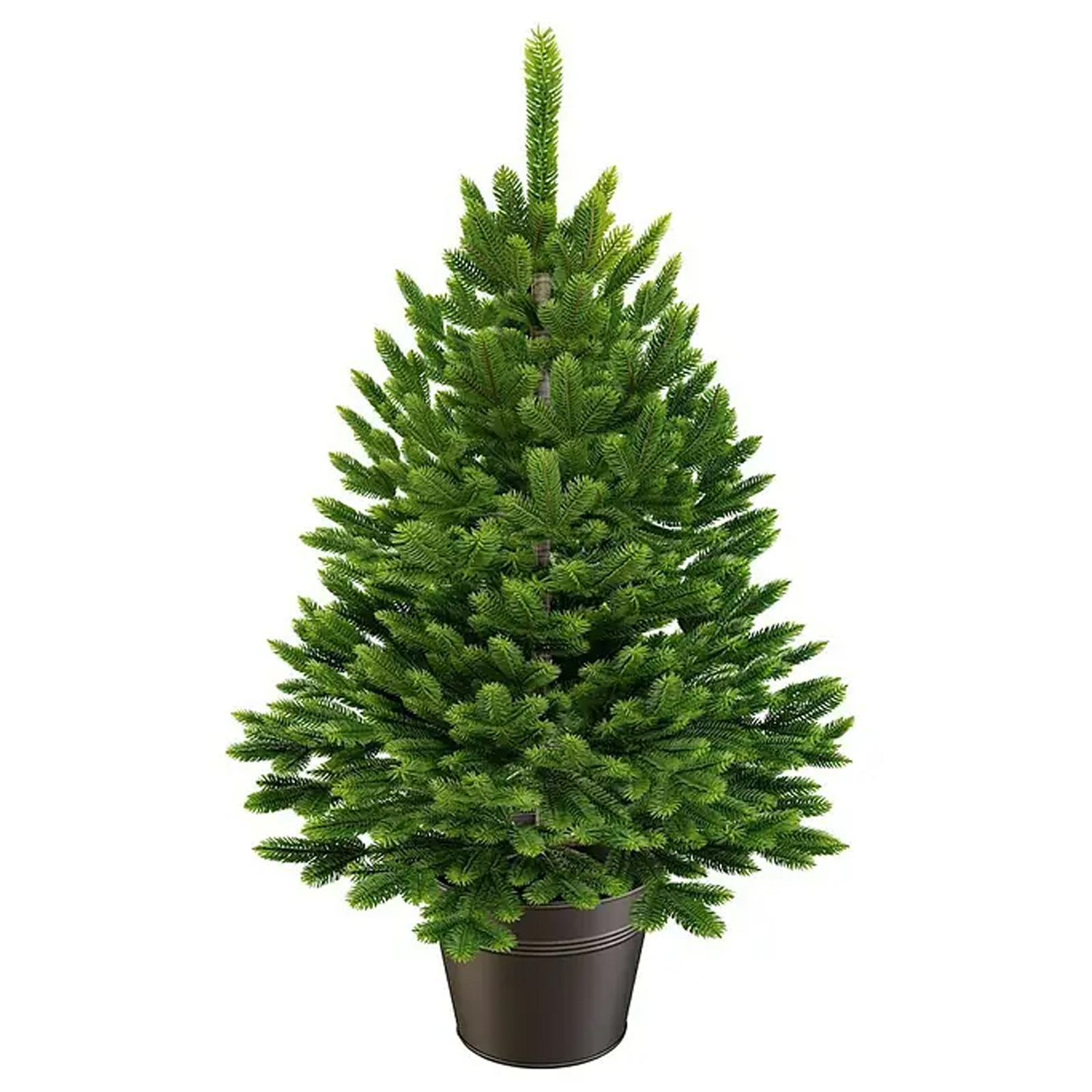 home24 Kunstboompje Nordfichte inclusief pot, 40 cm