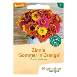 Bingenheimer Saatgut Zinnie demeter