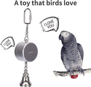 Inspire Essentials Parrot Talking Coach Interactive Voice Recording Toy With Bell silver
