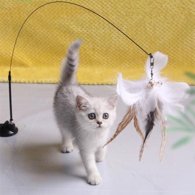 Pet Hub Interactive Cat Toy: Feather Teaser For Endless Fun & Bite Resistant Play   Pet Supplies Red