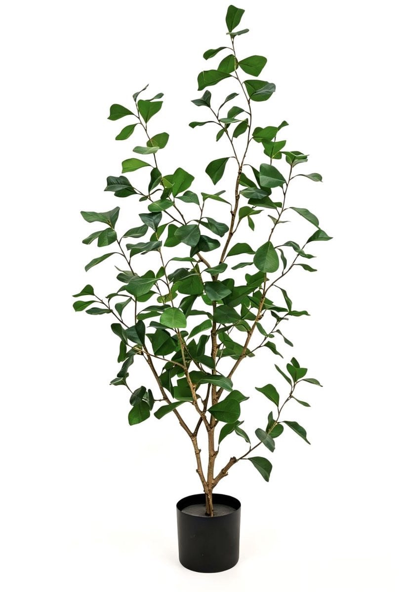 Ficus Triangularis Kunstplant met pot, 120 cm
