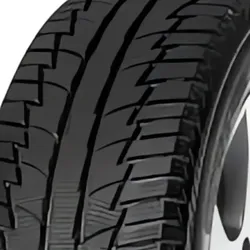 Polarbear SUV 2 215/70 R16 100T 3PMSF Winterreifen