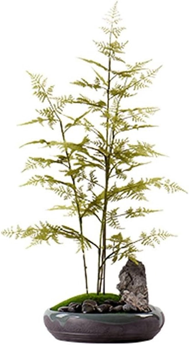 Kunstplant Bonsai Groen - Natuurlijke Namaakboom voor Decoratie - Hoogte: 70 cm