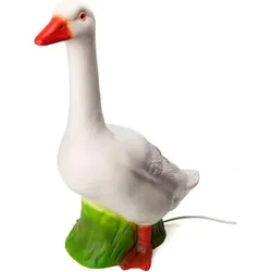 Egmont, Nachtlicht, Gans