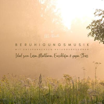 Beruhigungsmusik mit entspannenden Naturgeräuschen - Klangwerkstatt für beruhigende Musik, Audio, 9783948561420