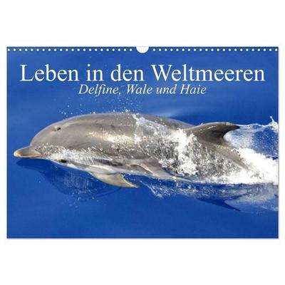 Leben in den Weltmeeren. Delfine, Wale und Haie (Wandkalender 2027 DIN A3 quer), CALVENDO Monatskalender