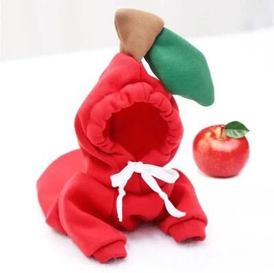 Uplifted Goods Plush Cartoon Fruit Pet Winter Fleece apple xl