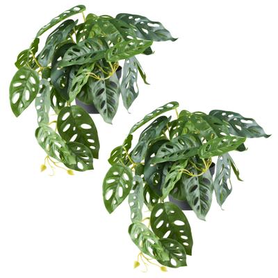 Kunstpflanze CREATIV GREEN "Monstera adesonii", grün, B:40cm H:24cm, Kunststoff, Kunstpflanzen, Kunstpflanze, mit naturgetreuem Blattwerk