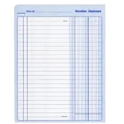 ELVE, Formular, Piq–re "Recettes/D‚penses", 80 pages, 297 x 210 mm